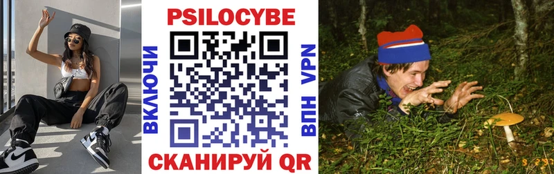 Псилоцибиновые грибы Psilocybe  Дно 